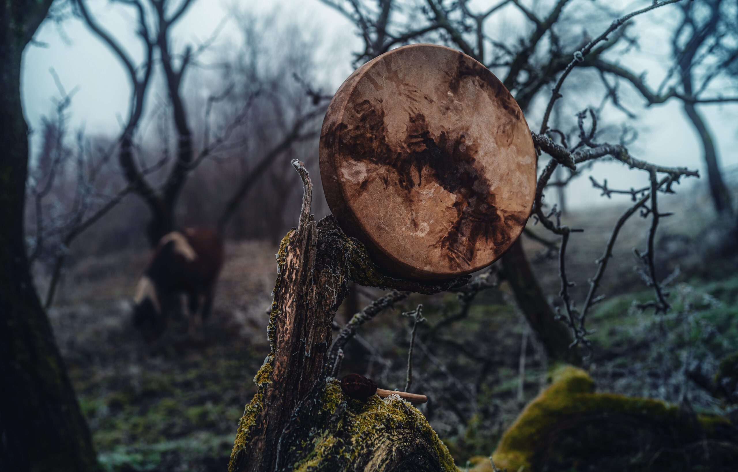 Schamanentrommel im Wald